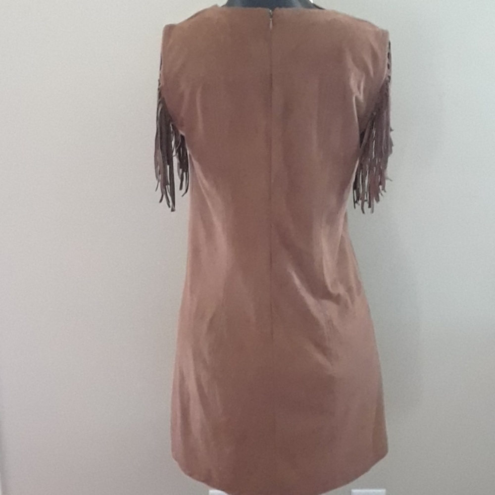 Express Faux Suede Fringe Dress - Picture 4 of 8